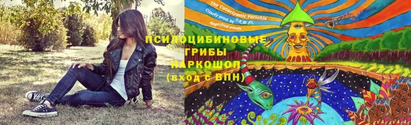 винт Бугульма