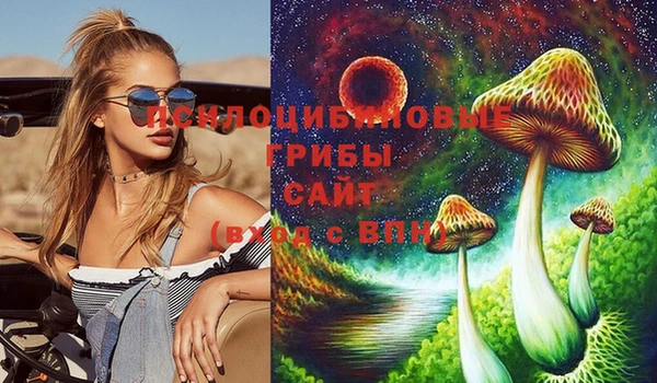 эйфоретик Бородино