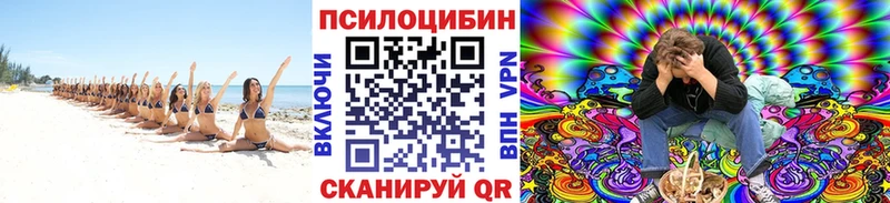 Псилоцибиновые грибы мицелий Купить Выкса